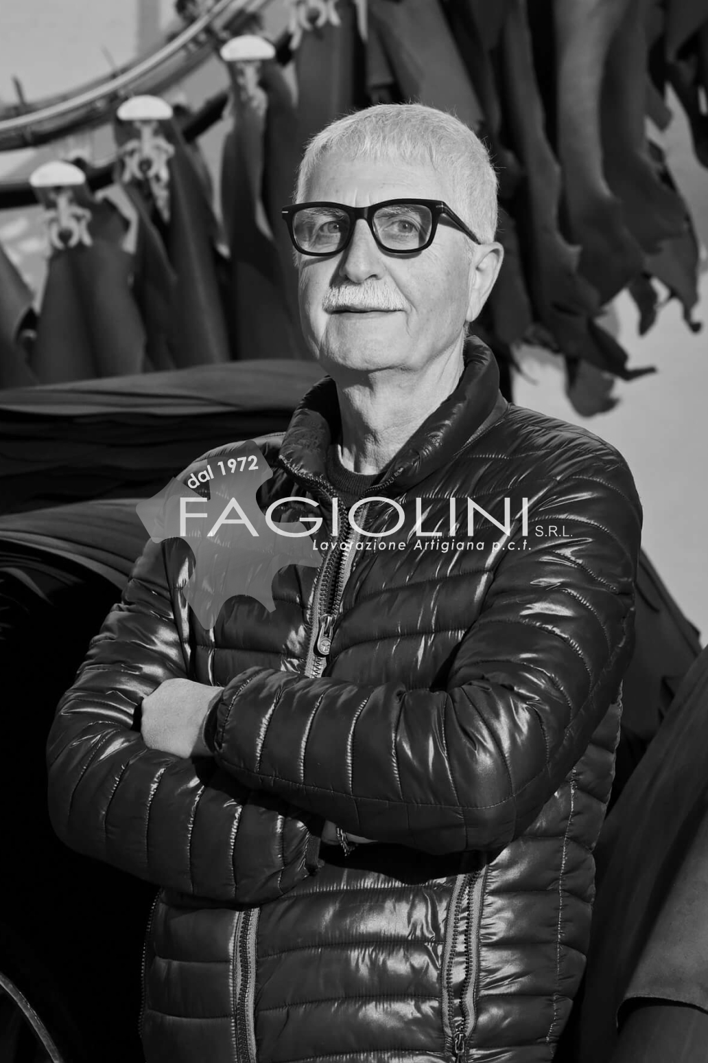 Logo di Fagiolini S.r.l. con proprietario