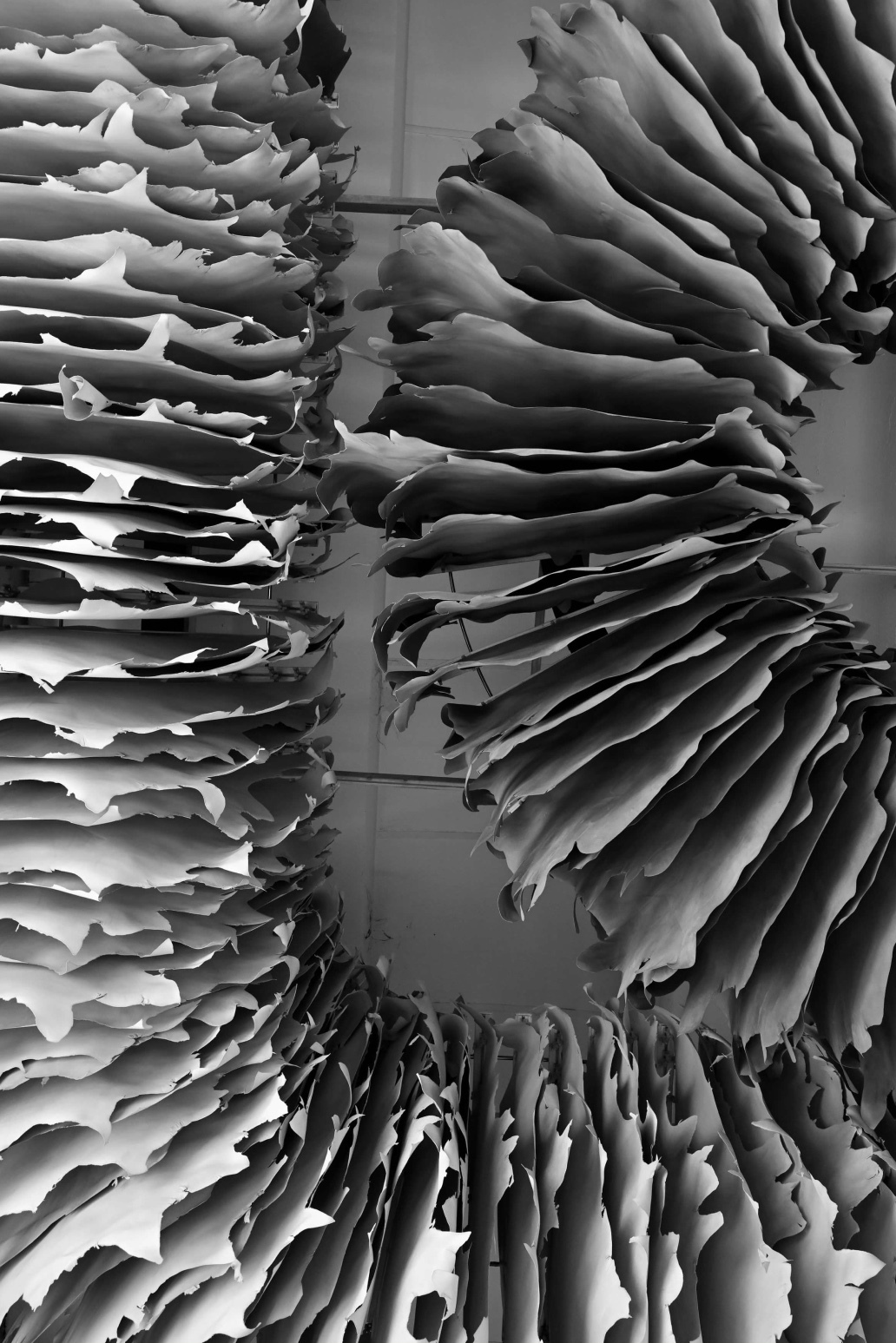 Pellami lavorati presso Fagiolini S.r.l.